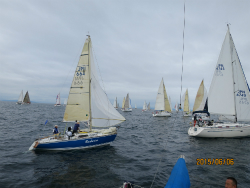 2015年第33回三浦－伊東ヨットレース