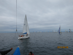 2015年第33回三浦－伊東ヨットレース