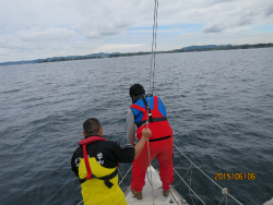 2015年第33回三浦－伊東ヨットレース