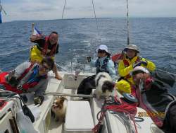 2015年第33回三浦－伊東ヨットレース