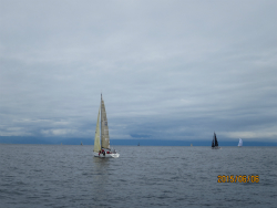 2015年第33回三浦－伊東ヨットレース