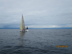 2015年第33回三浦－伊東ヨットレース