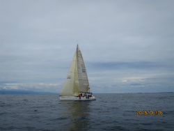 2015年第33回三浦－伊東ヨットレース