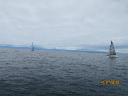 2015年第33回三浦－伊東ヨットレース