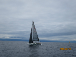 2015年第33回三浦－伊東ヨットレース