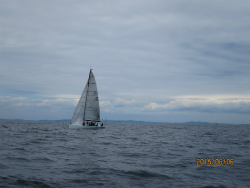 2015年第33回三浦－伊東ヨットレース