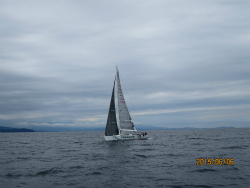 2015年第33回三浦－伊東ヨットレース