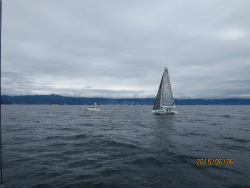 2015年第33回三浦－伊東ヨットレース