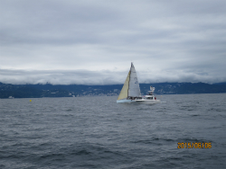 2015年第33回三浦－伊東ヨットレース