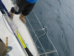 2015年第33回三浦－伊東ヨットレース