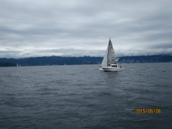 2015年第33回三浦－伊東ヨットレース