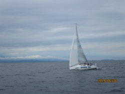 2015年第33回三浦－伊東ヨットレース