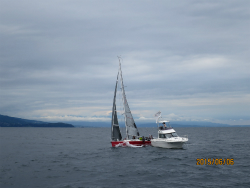 2015年第33回三浦－伊東ヨットレース