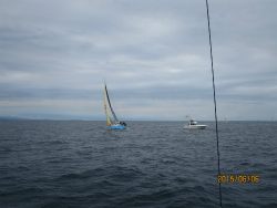 2015年第33回三浦－伊東ヨットレース