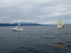 2015年第33回三浦－伊東ヨットレース