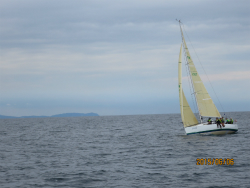 2015年第33回三浦－伊東ヨットレース