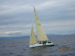 2015年第33回三浦－伊東ヨットレース