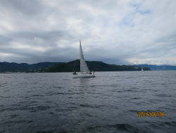 2015年第33回三浦－伊東ヨットレース