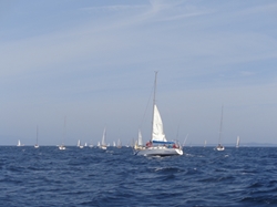 2016年第34回三浦－伊東ヨットレース